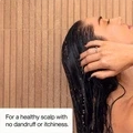 Afina Filtered Shower Head Sale - image 21