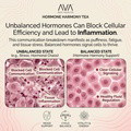 Hormone Harmony Woman's Tea - image 3