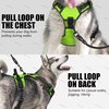 BlissyTails LED Harness