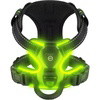 BlissyTails LED Harness