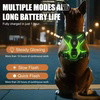 BlissyTails LED Harness
