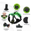 BlissyTails LED Harness
