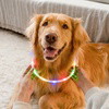 BlissyTails LED Pet Collar