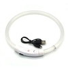 BlissyTails LED Pet Collar