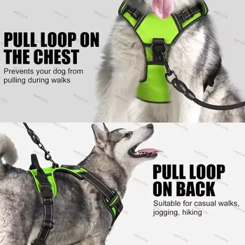 BlissyTails LED Harness