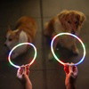BlissyTails LED Pet Collar