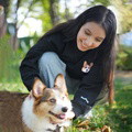 Custom Embroidered Pet Sweatshirt - image 2