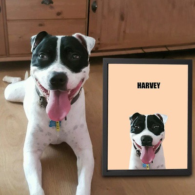 Custom One Pet Portrait
