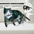 Hot Ugly Cat or Dog Zany Pillow Custom Pet Pillow Personalized Pet Pillow from Photo Pet Loss Memorial Gift Pet Lover Gift - image 1