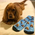Customized Dog Socks -- Put Your Cute Dog on Custom Socks, Dog Lovers, Dog GIft, Cute Dog Personalized, Dog Gift Socks, Fathers Day Gift - image 2