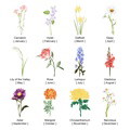 Personalized First Mom Now Grandma Mug Birth Flowers Ceramic Mug for Mother's Day Gifts - image 6