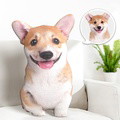 Hot Ugly Cat or Dog Zany Pillow Custom Pet Pillow Personalized Pet Pillow from Photo Pet Loss Memorial Gift Pet Lover Gift - image 3