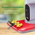 Birdfeeder - image 3