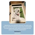 Painted Memory - Custom Painting By Numbers Kit - image 5