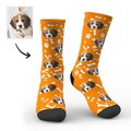 Custom Printed Face Sock Novelty Dog Avatar Socks with Photo - image 6