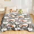 Custom Photo&Text Blanket Gifts for Couple - image 6