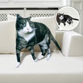 Hot Ugly Cat or Dog Zany Pillow Custom Pet Pillow Personalized Pet Pillow from Photo Pet Loss Memorial Gift Pet Lover Gift - image 2