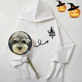 Halloween - Custom Pet embroidery - Pets wear Halloween hats - image 9