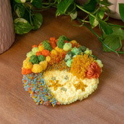 PUMPKIN PATCH - Moss Coaster Kit