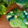 GREEN OASIS - Moss Coaster Kit
