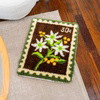 Wildflower Post - XL Latch Hook Rug Bundle