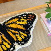 THE BUTTERFLIES - Latch Hook Rug Kit Bundle