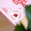 STRAWBERRY RIPE STRIPES - Latch Hook Cushion Kit