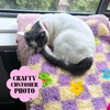 CHECK ME OUT - Rug Making Kit