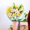 Blanc Blooms - Pipe Cleaner Bouquet Kit