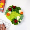 GARDEN FRIENDS - Moss Coaster Kit