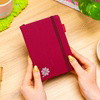 MULBERRY RED SATELLITE - Orbit Journal