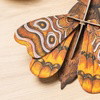 ATLAS MIDI MOTH - Wall Art 3D Puzzle Kit