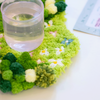 FLORAL GROVE - Moss Coaster Kit