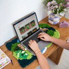 MAGICAL MOSS - Rug Making Kit