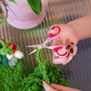 BEST SELLERS - Moss Rug & Coaster Bundle