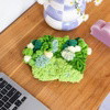 GREEN OASIS - Moss Coaster Kit