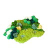 GREEN OASIS - Moss Coaster Kit