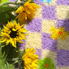 CHECK ME OUT - Rug Making Kit