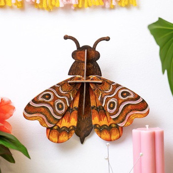 ATLAS MIDI MOTH - Wall Art 3D Puzzle Kit
