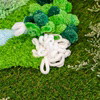 Snowdrops  - Moss Coaster Kit