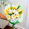 The Posy Set - Pipecleaner Bundle