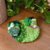 BEST SELLERS - Moss Rug & Coaster Bundle