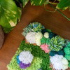 MOSS - Coaster & Rug Bundle