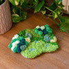 MEGA MOSSY - Rug & Coaster Bundle