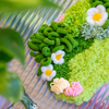 DAISY - Moss Coaster Kit