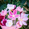 Blushing Bouquet - Pipe Cleaner Bouquet Kit