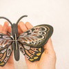 SWALLOWTAIL PETITE BUTTERFLY - Wall Art 3D Puzzle Kit