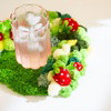 STRAWBERRY -  Moss Coaster Kit