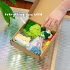 STRAWBERRY -  Moss Coaster Kit