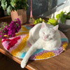 PSYCHEDELIA - Rug Making Kit